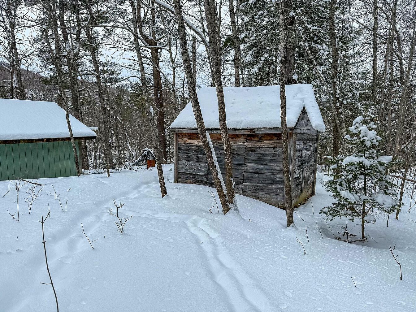 c803a3f3ead586dedf9b9a4dbfa2d88d-uncropped_scaled_within_1344_1008