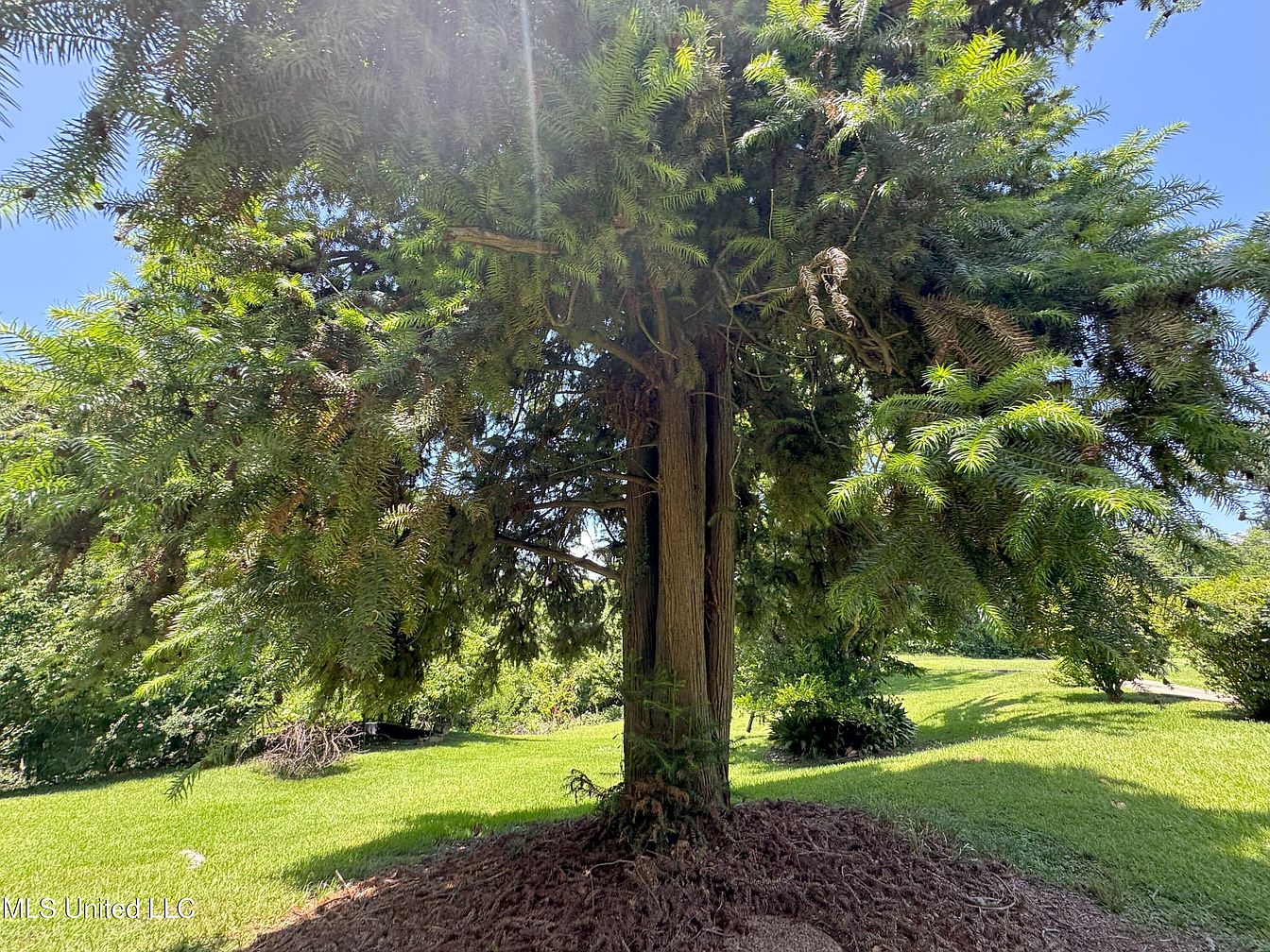 7ec5305b20b9ff81b1099c0f06770f2e-uncropped_scaled_within_1344_1008
