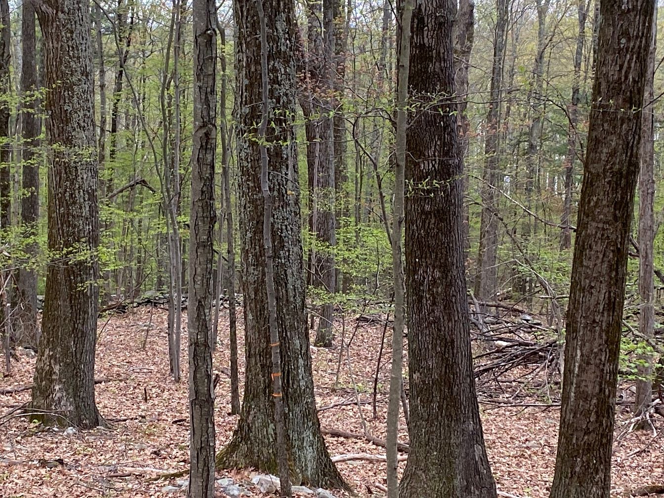 faca44a912e8704d1fa78c11ea9b300d-uncropped_scaled_within_1344_1008